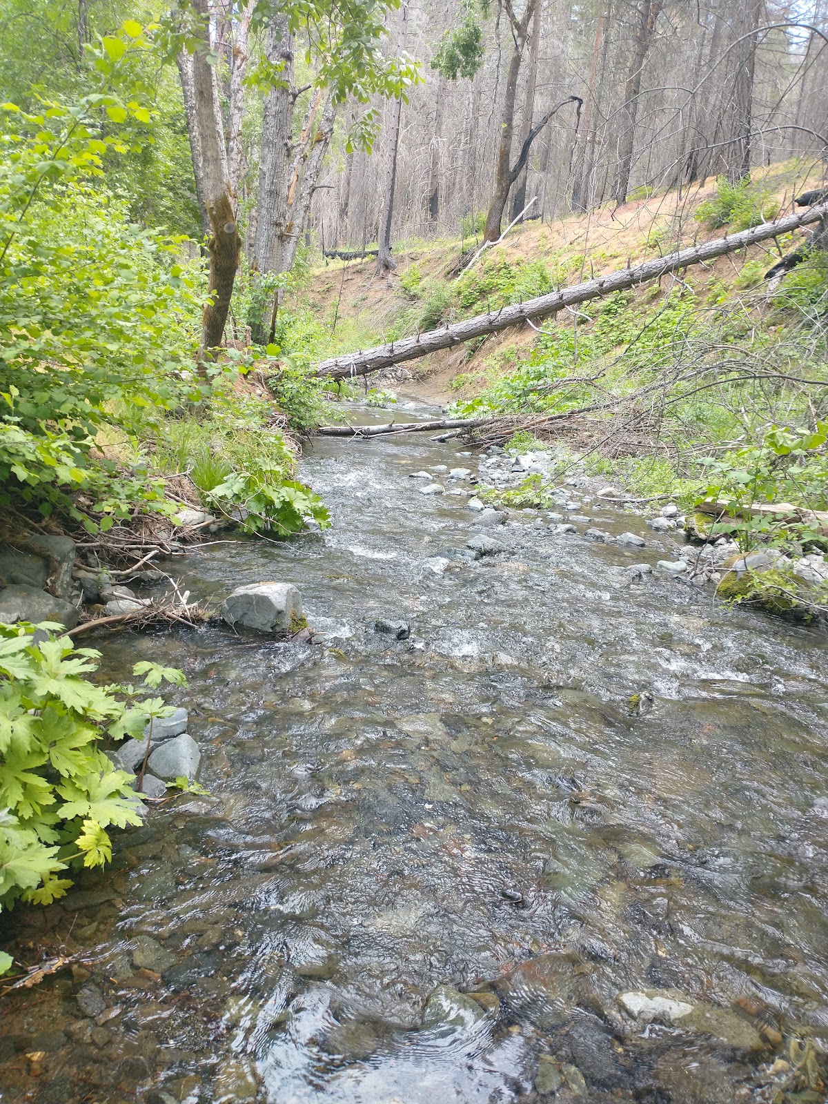 Basin Gulch Campground