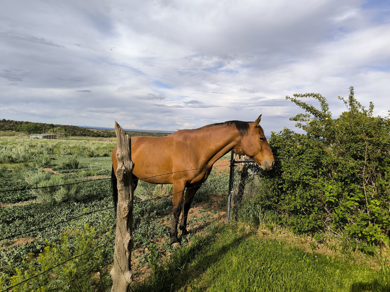 Mountain View RV Park