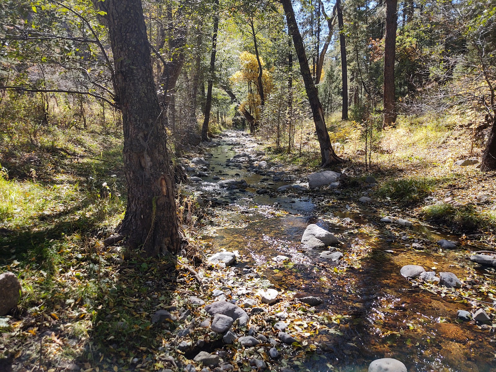 Gallinas Upper Campground
