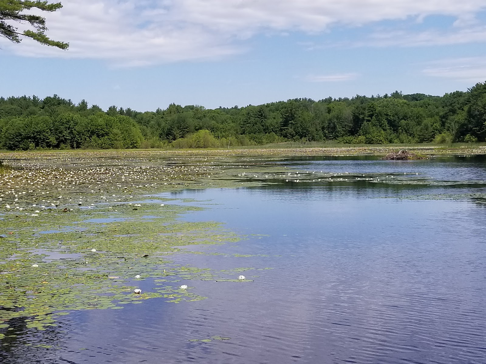 Hillcrest Campground