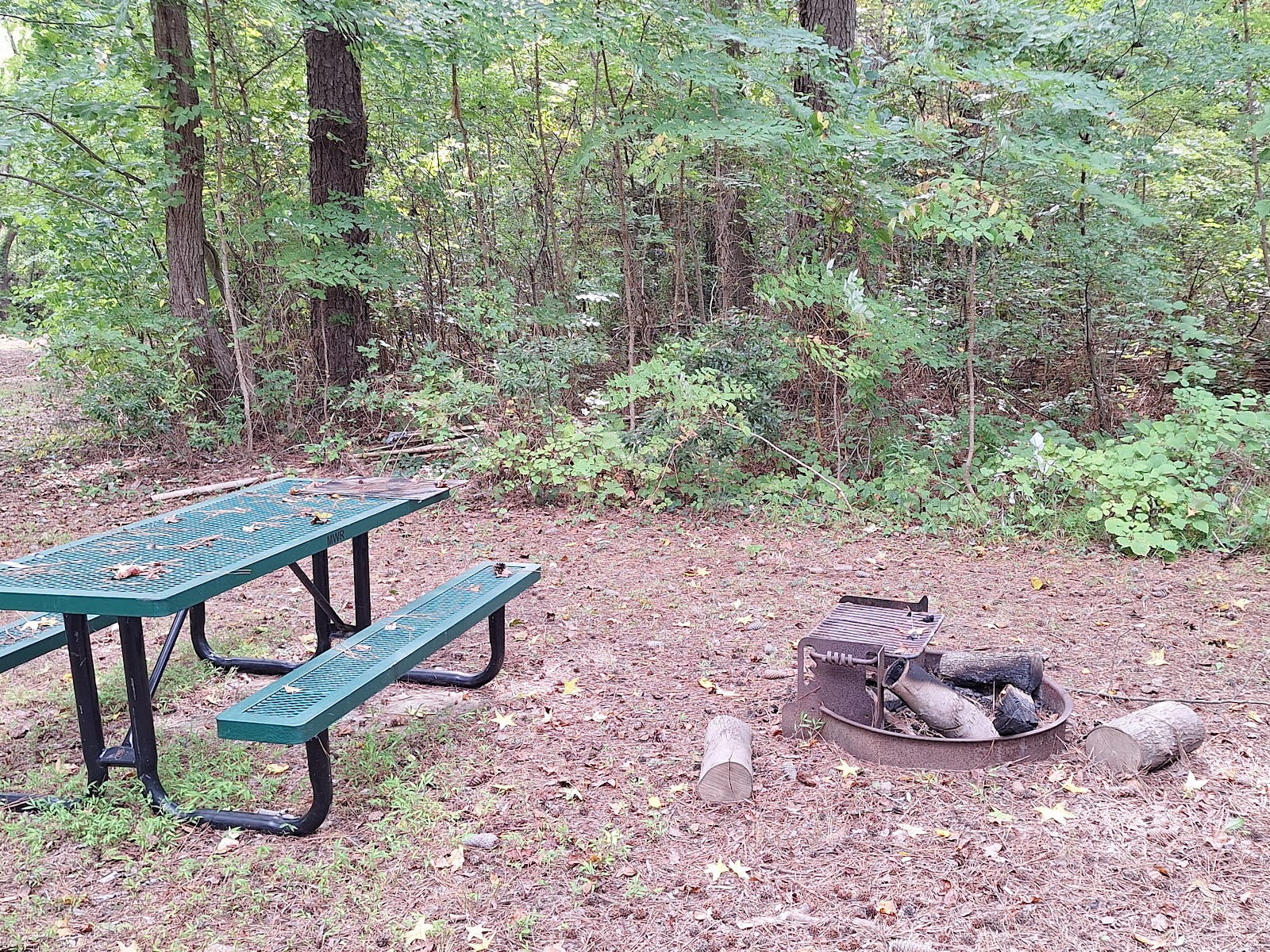 Goose Creek Campground