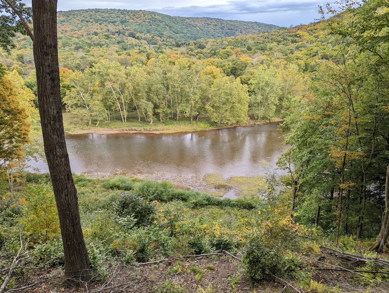 Kellettville Rec Area Tionesta Lake