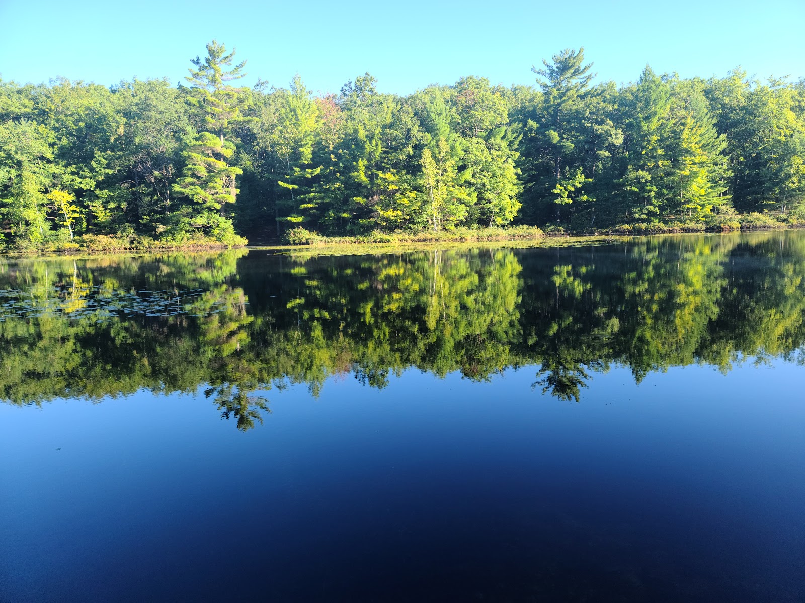 Lake Dubonnet SF Campground