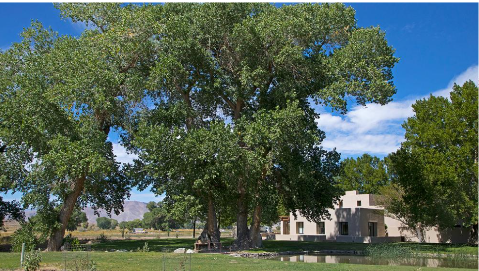 Walker River State Recreation Area, Pitchfork Ranch Unit