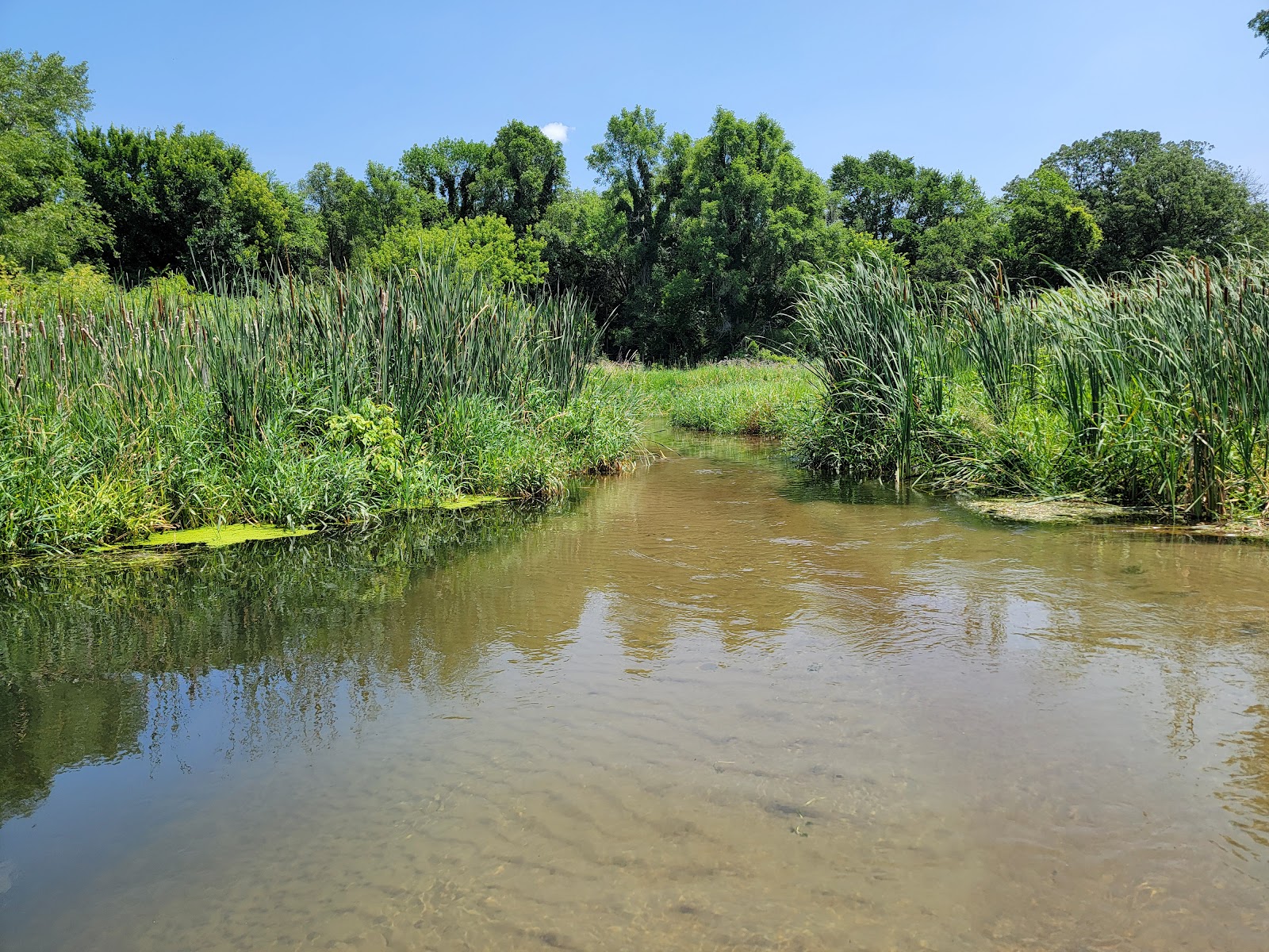 Grove Lake Wildlife Management Area