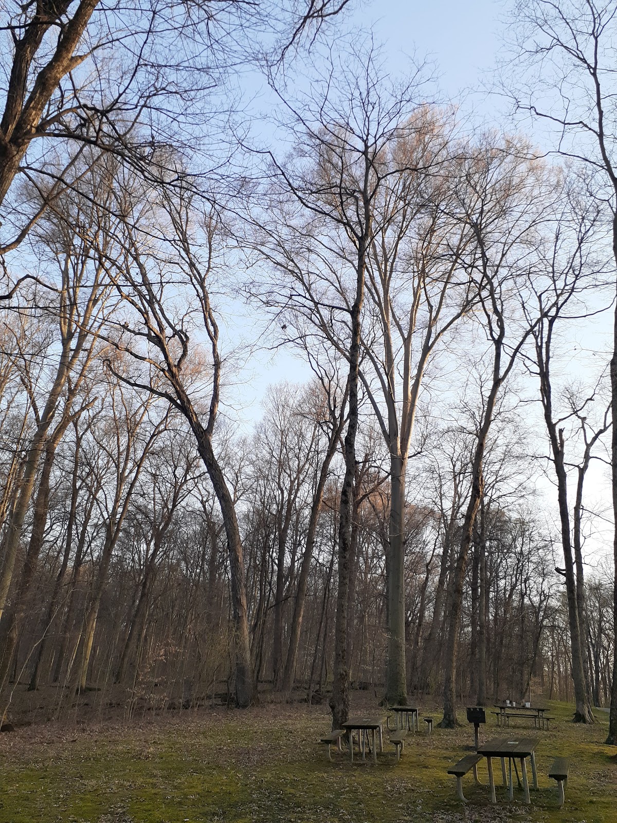 Miami Whitewater Forest County Park