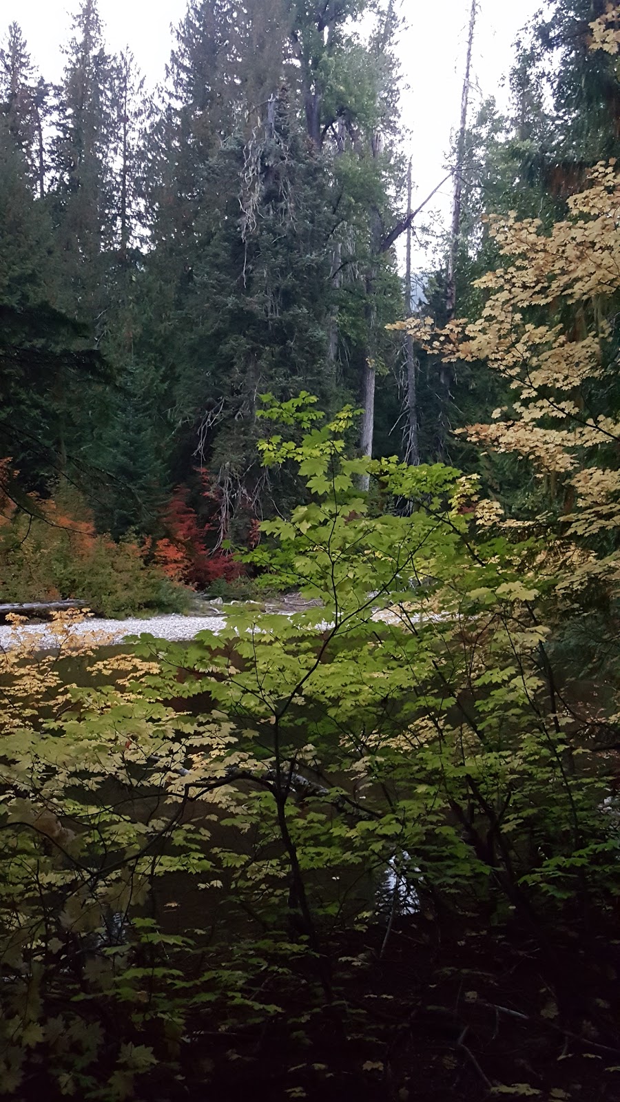 Rainy Creek Campground