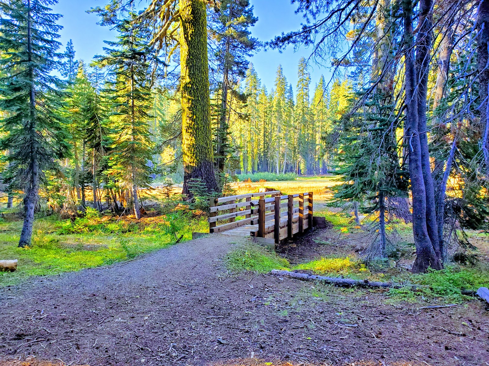 Robinson Flat Campground