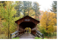 Allegany State Park - Cain Hollow