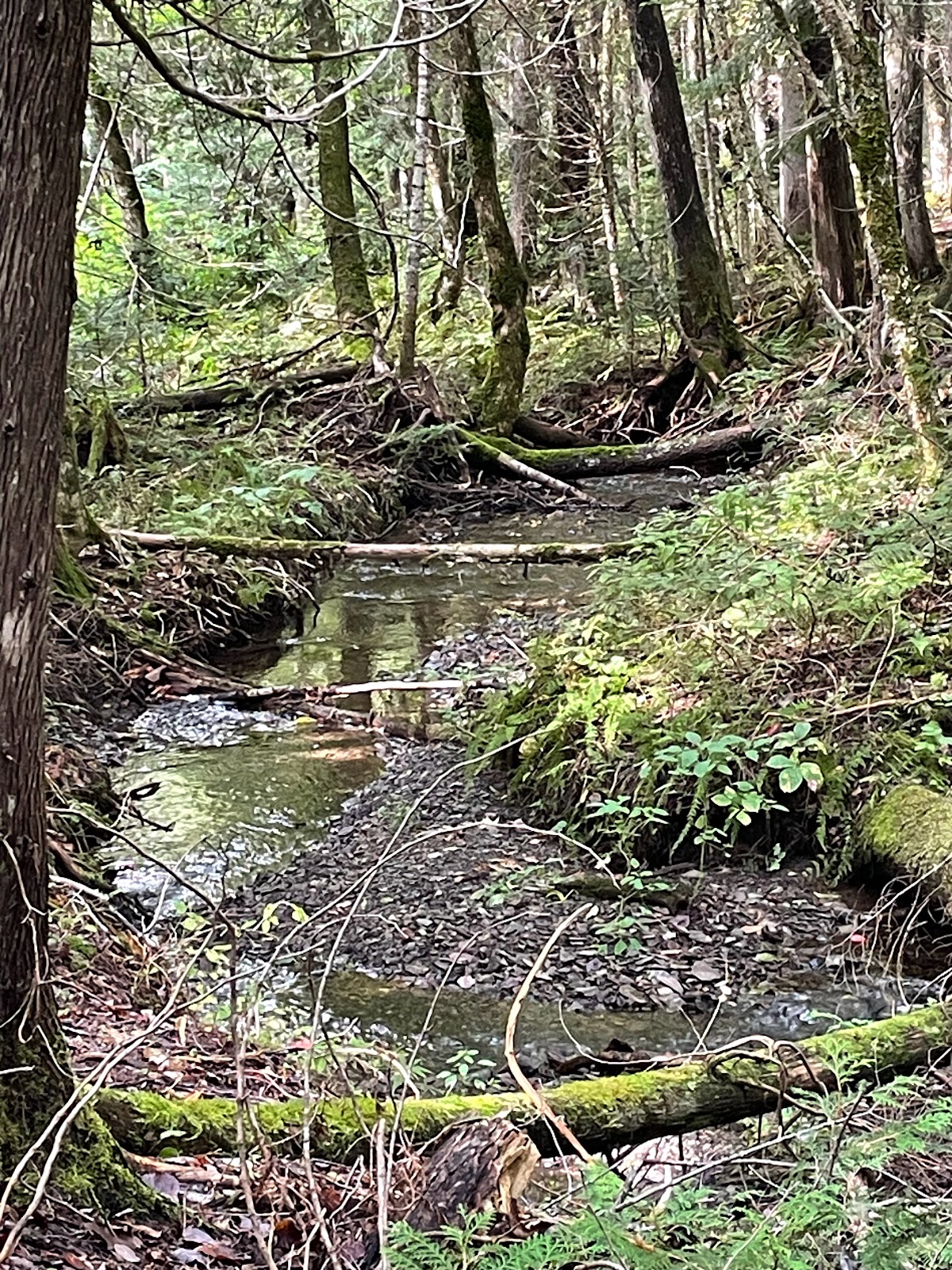 Round Pond Public Reserved Land