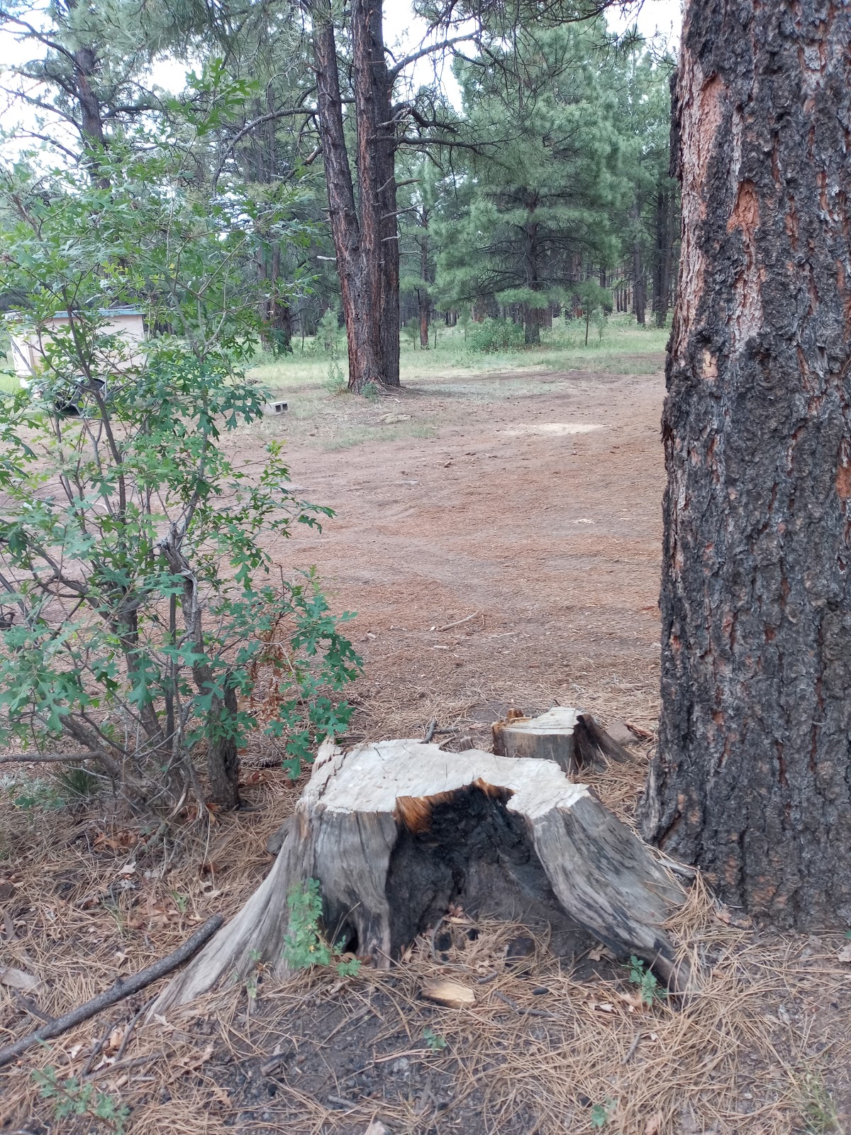 Brown Creek Campground