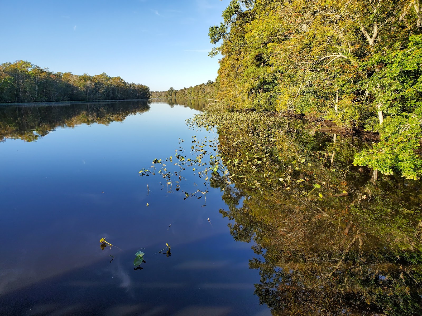 Milburn Landing Campground