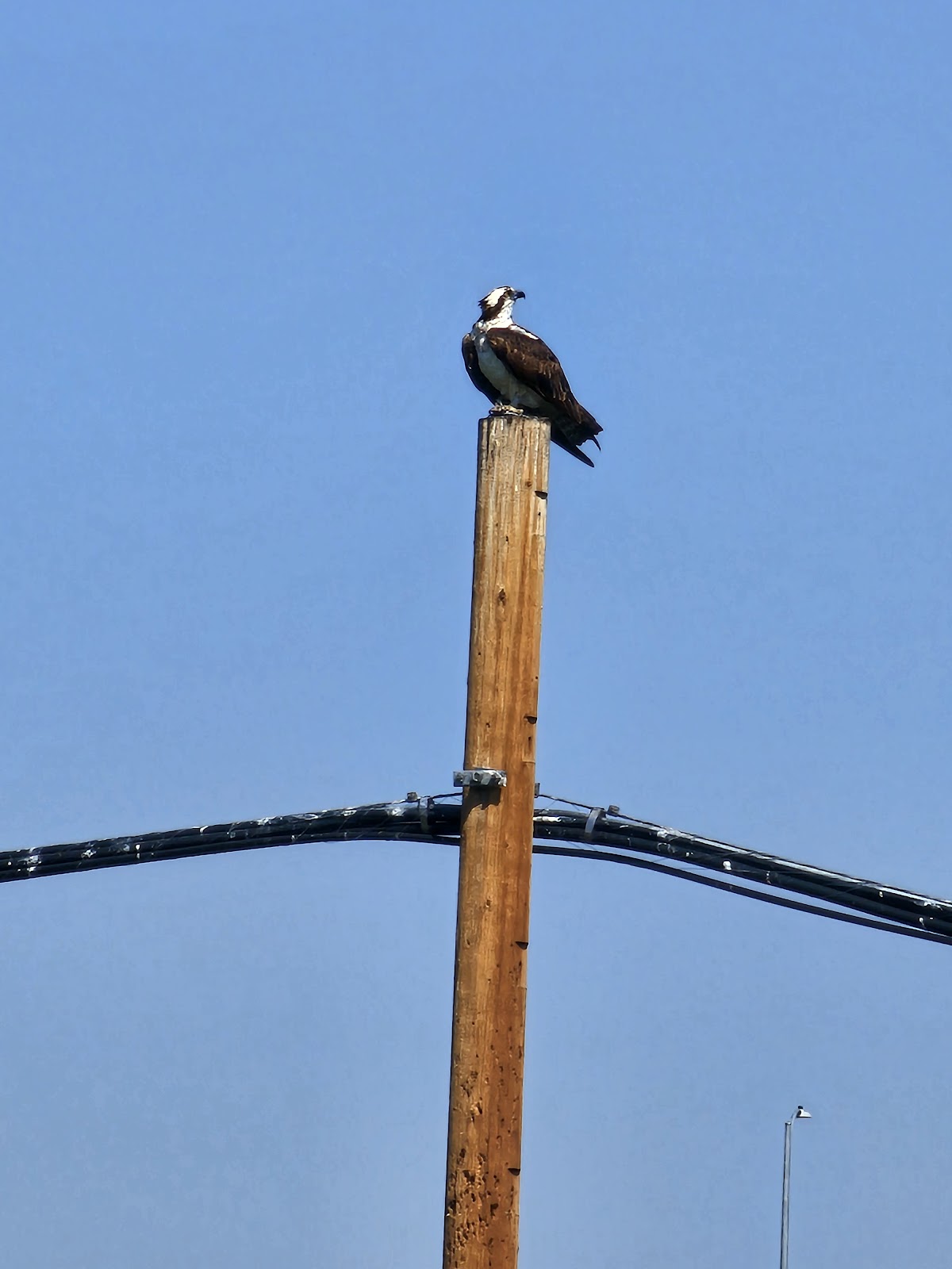 Riverside RV Park - Kemmerer