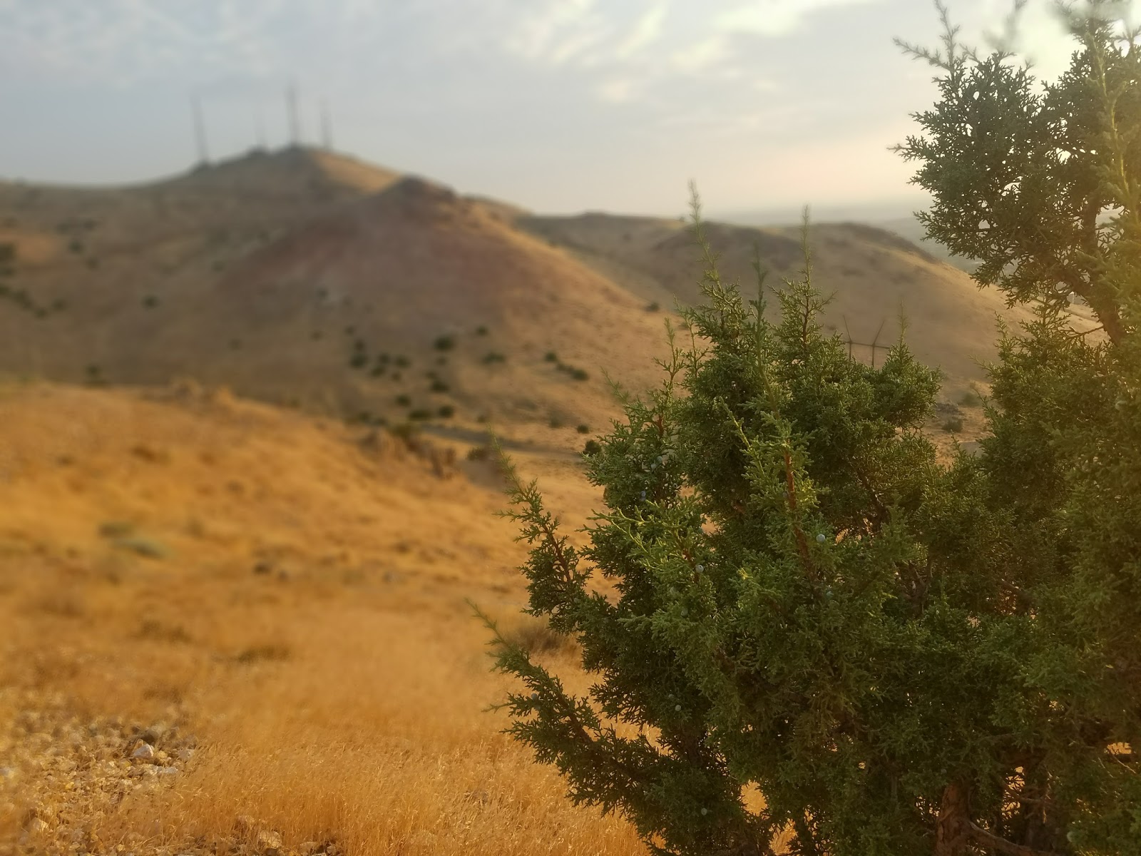 Bonanza Terrace RV Park