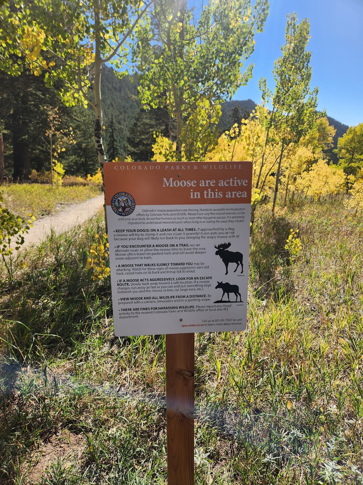 Aspen Meadows - Golden Gate Canyon State Park