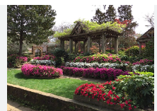 Palestine Pines RV park