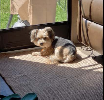 Maplewoods Campground