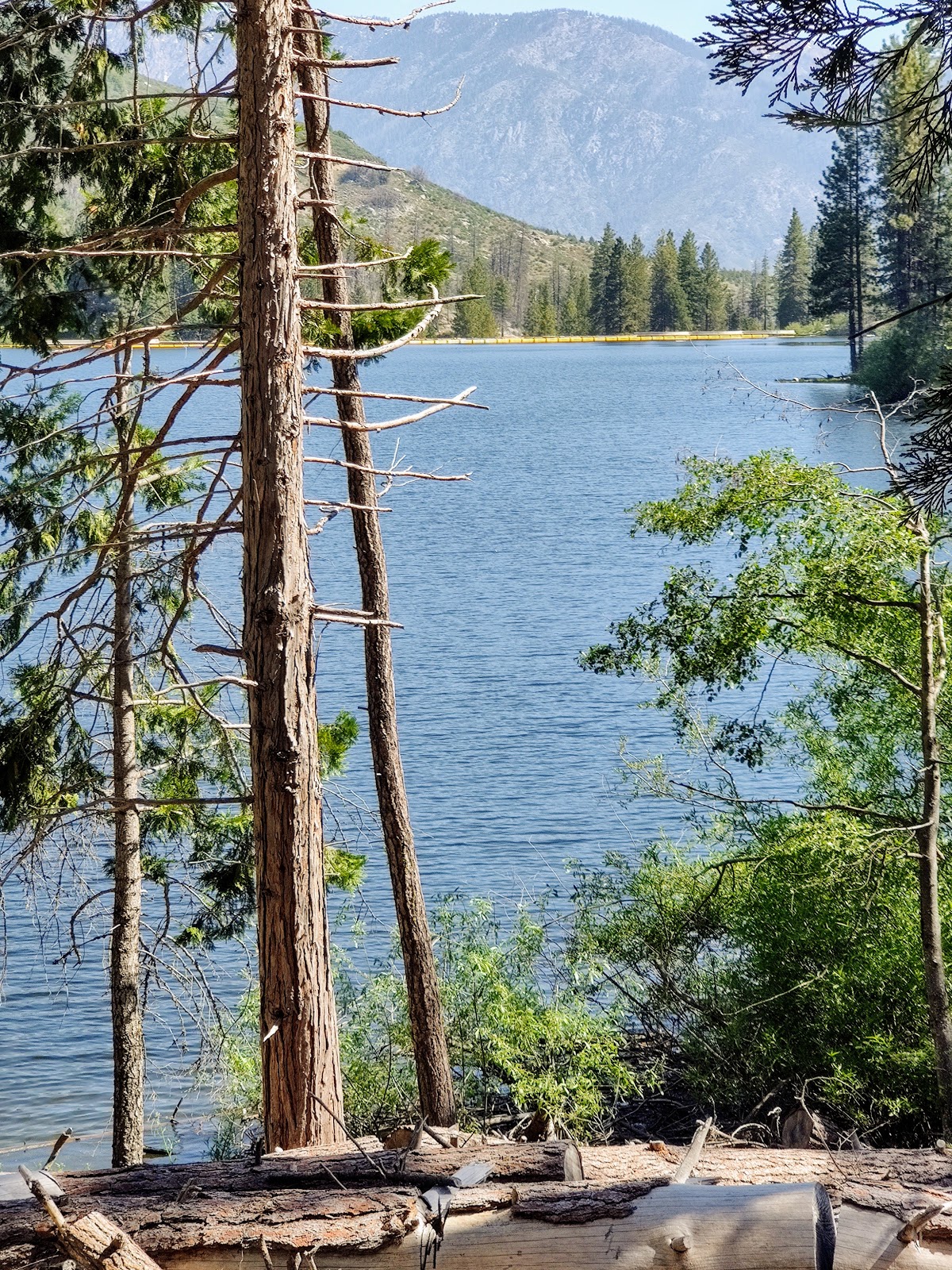 Landslide Campground