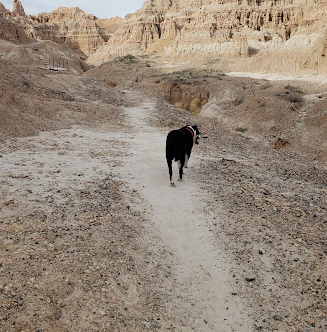 Cathedral Gorge State Park