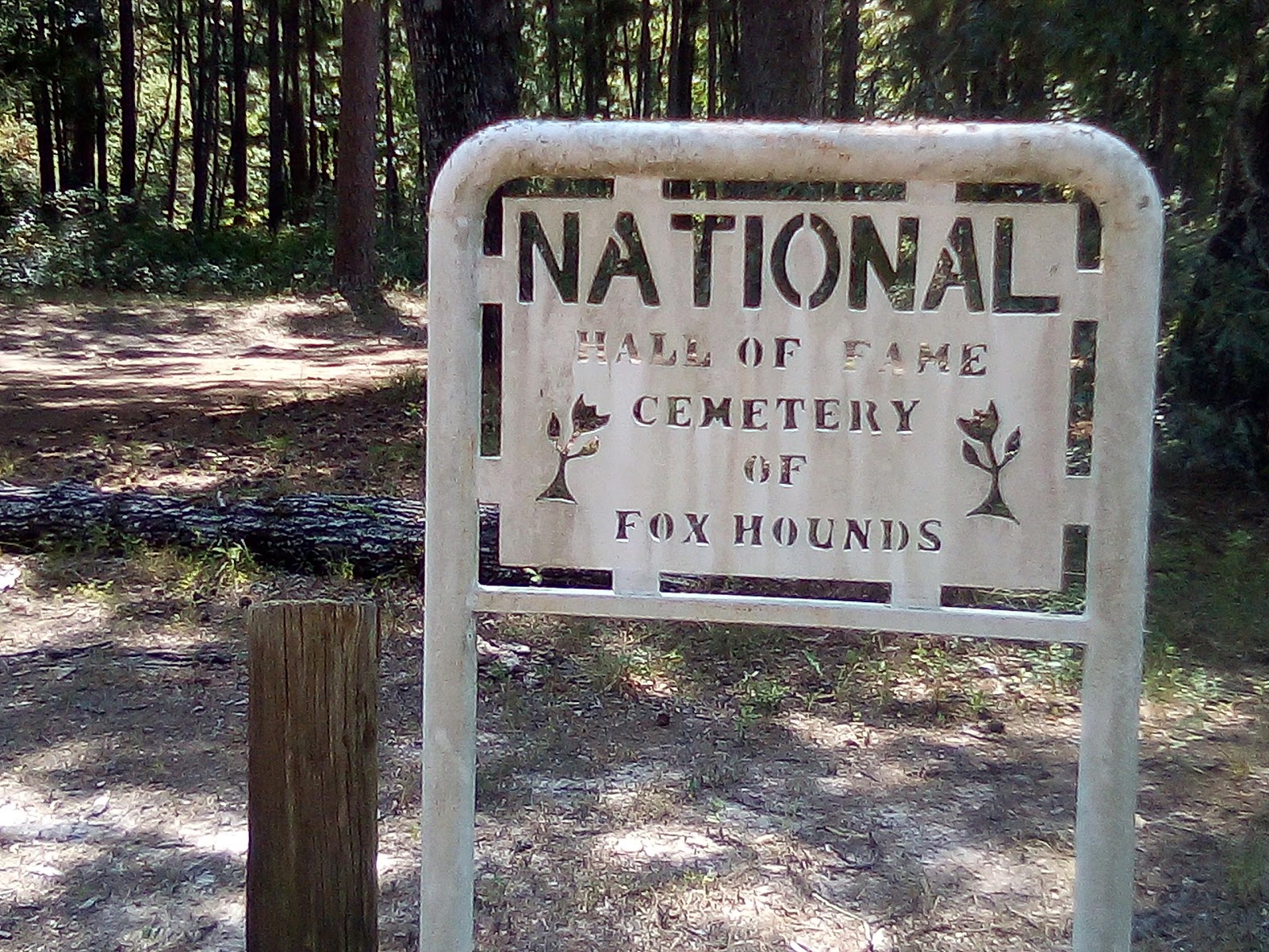Boles Field NF Campground