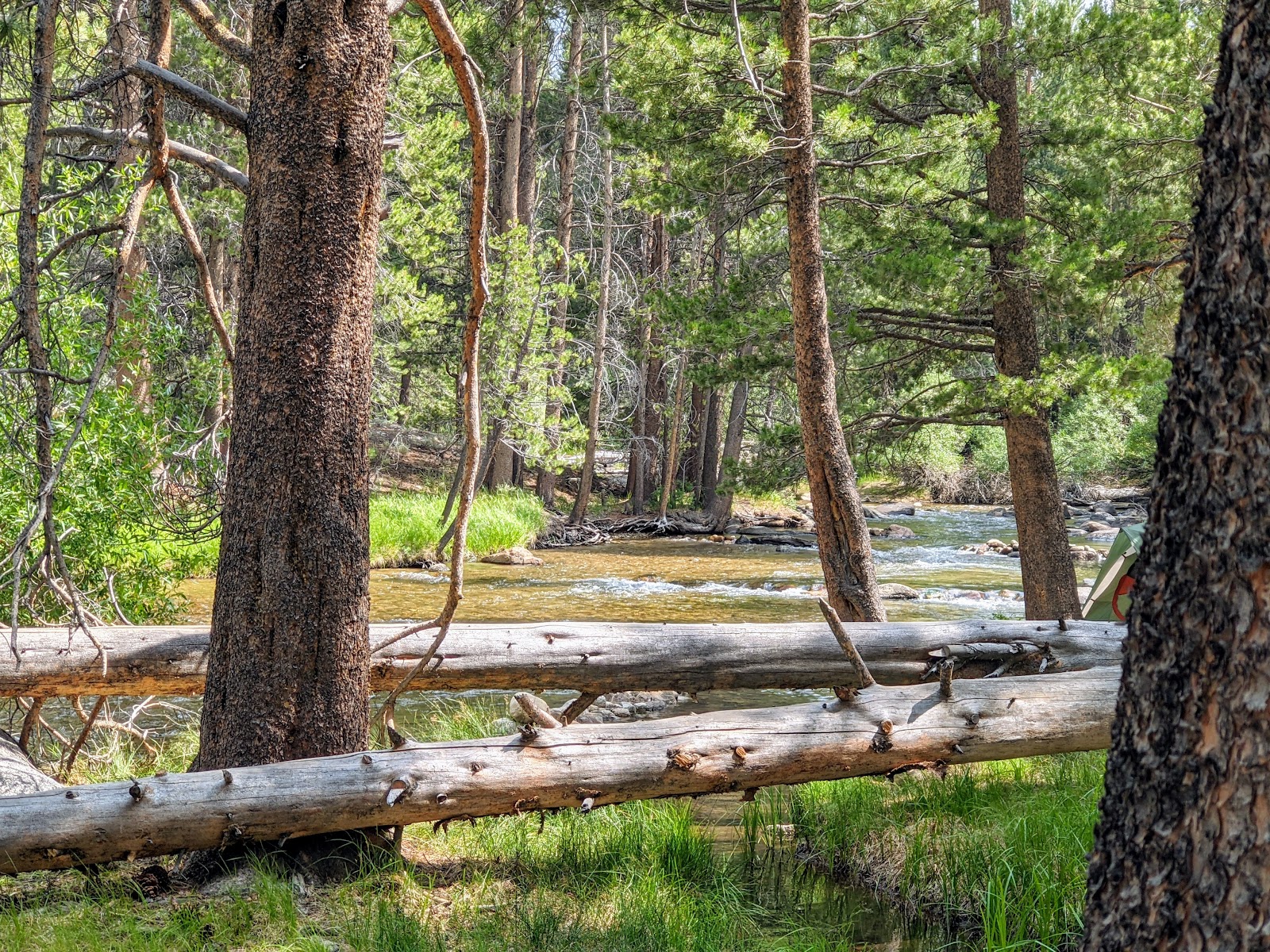 Robinson Creek Campground