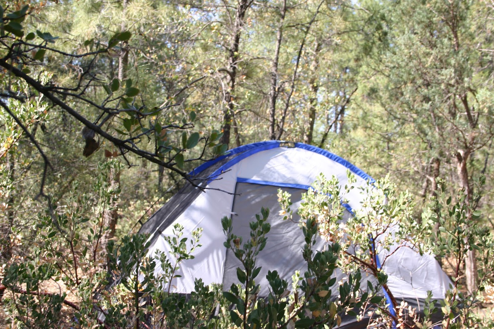 Houston Mesa Campground