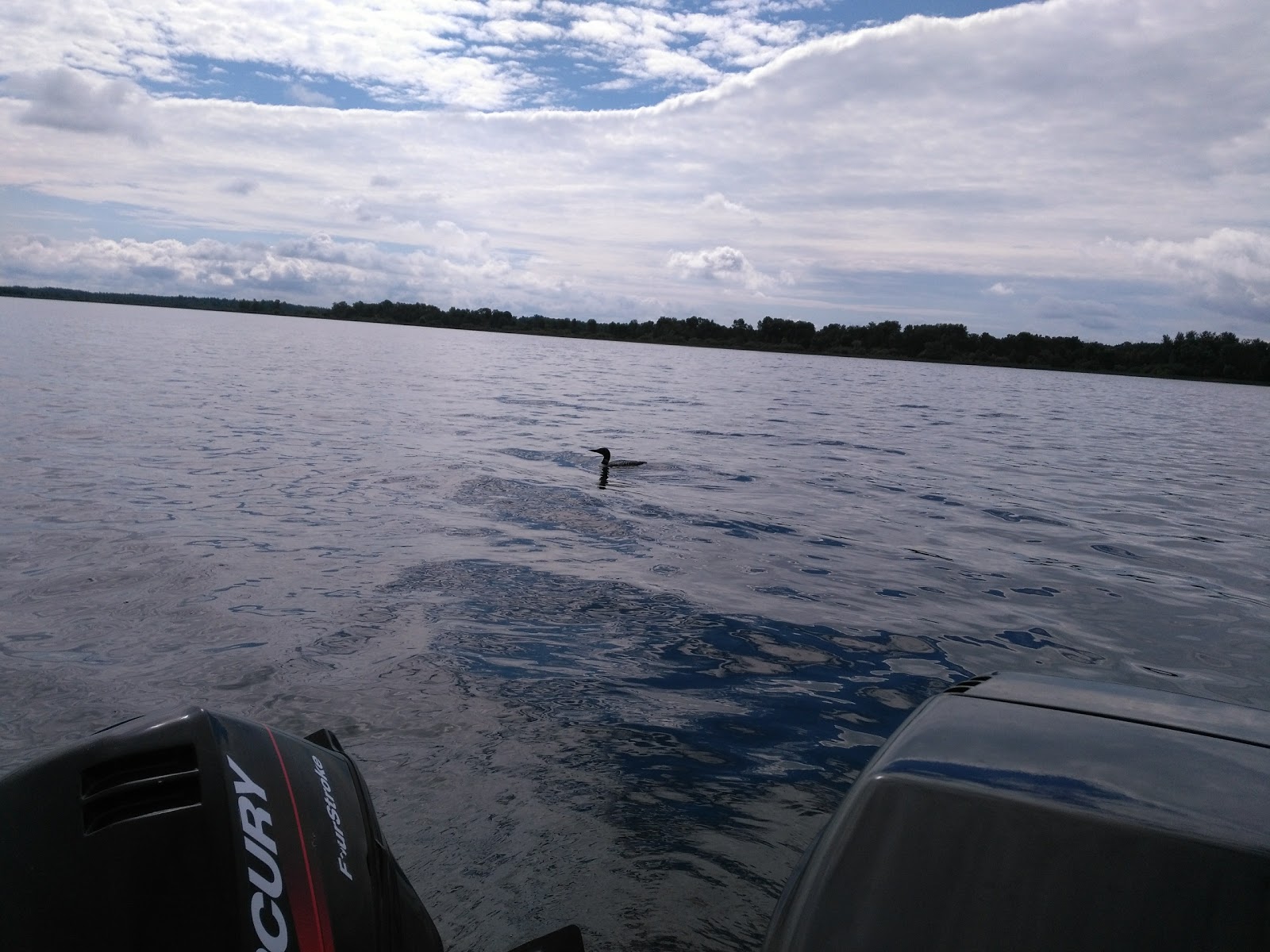 Nodak Lodge & Resort