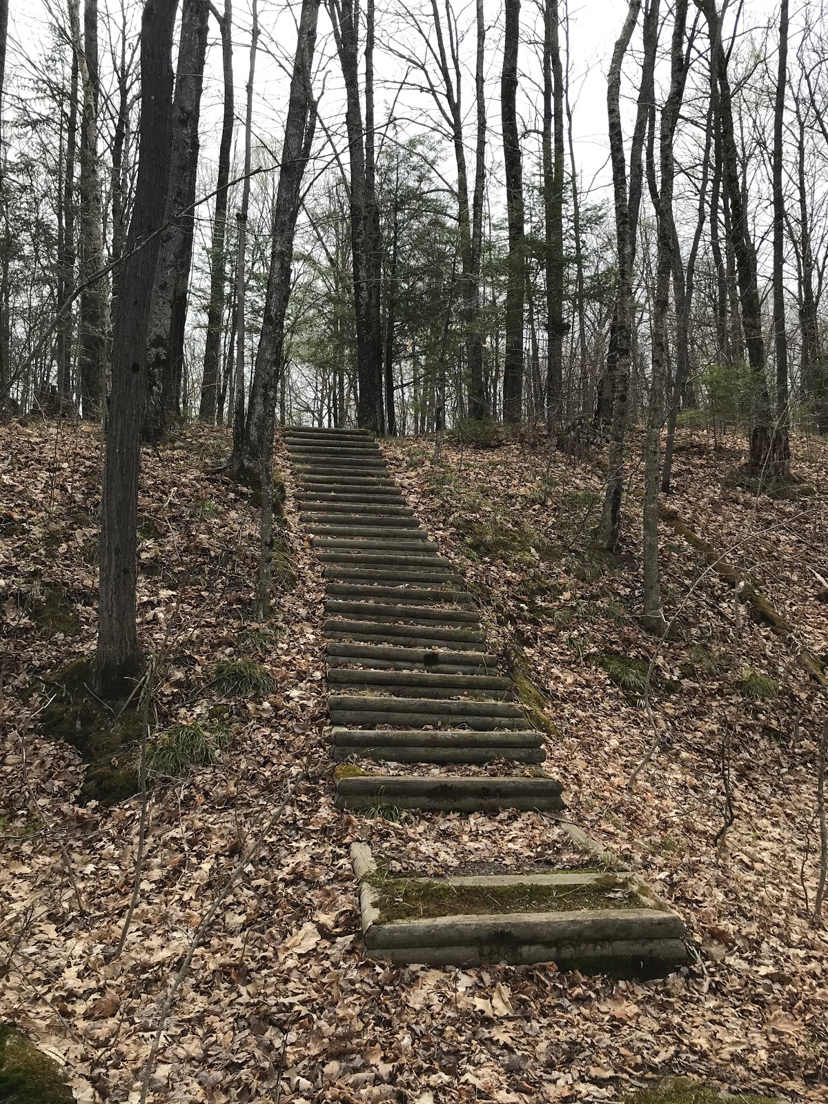 Kathryn Lake NF Campground