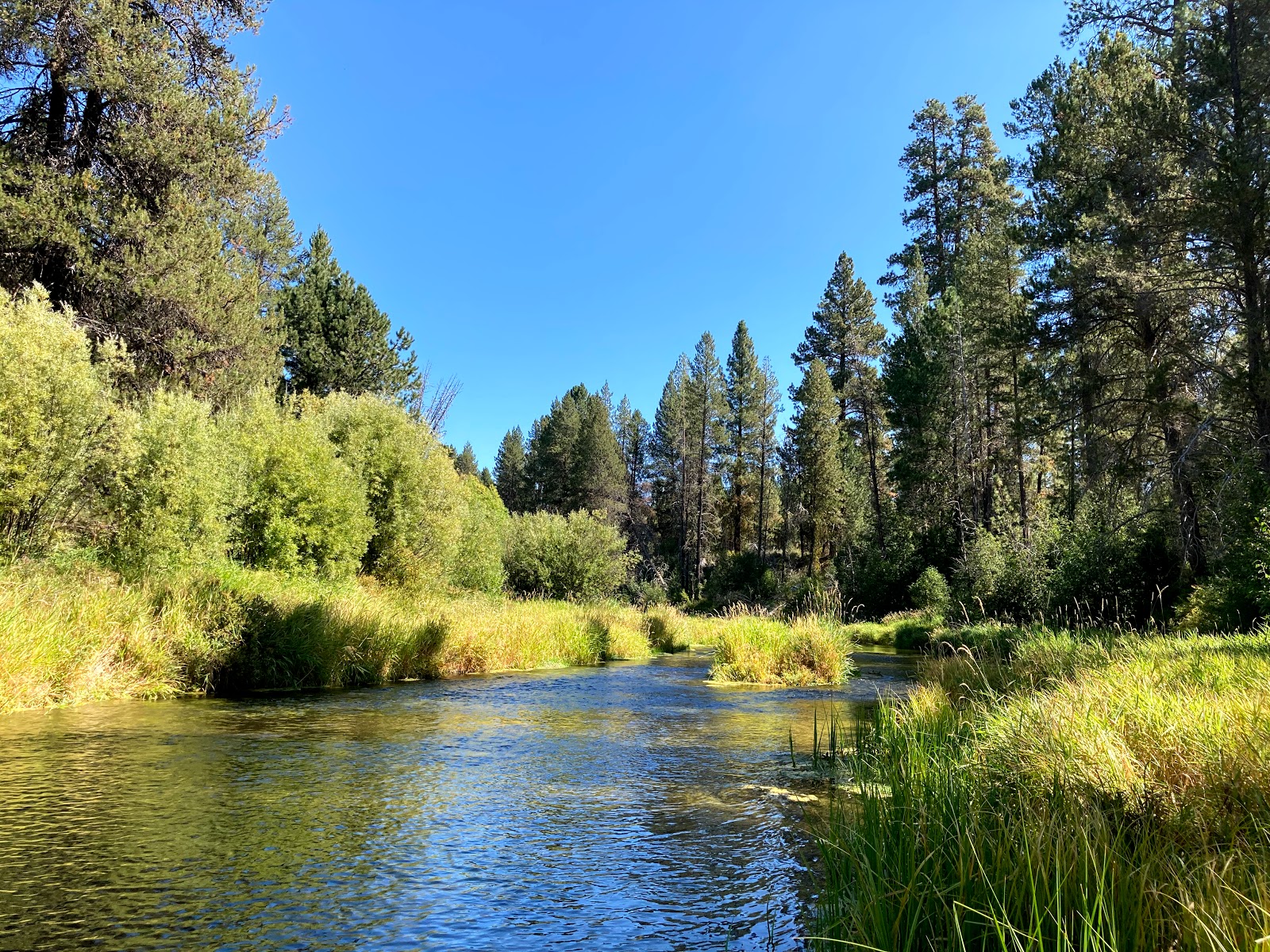 Williamson River Campground