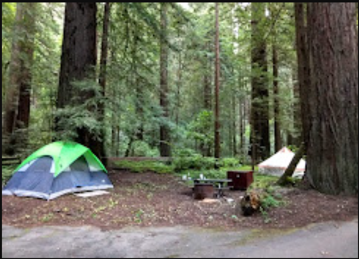 Grizzly Creek Redwoods State Park
