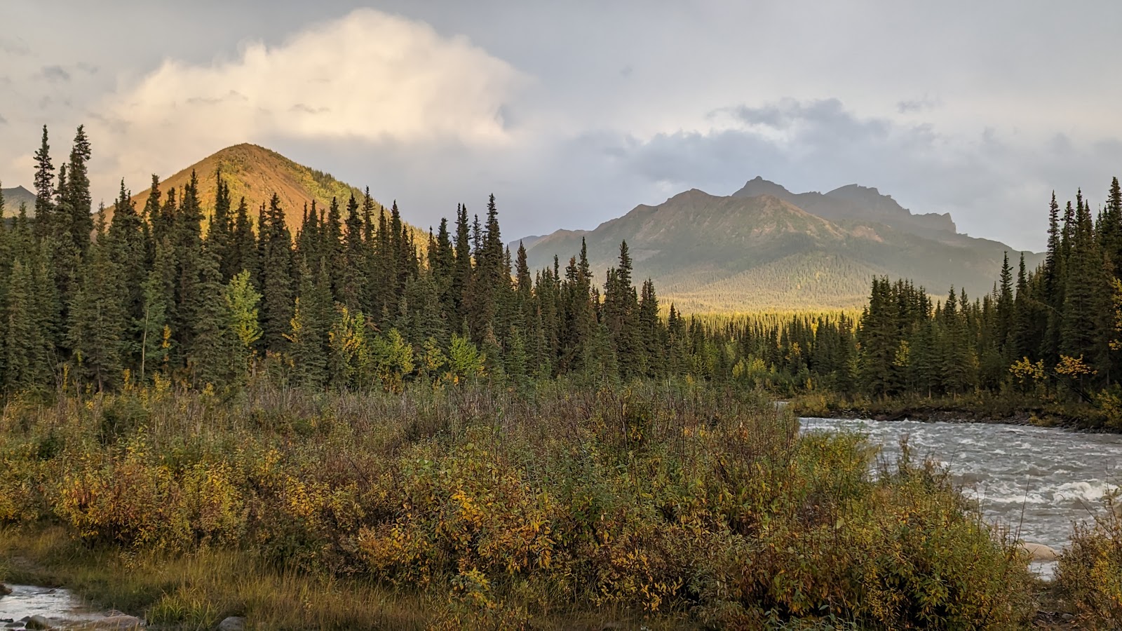 Riley Creek Campground