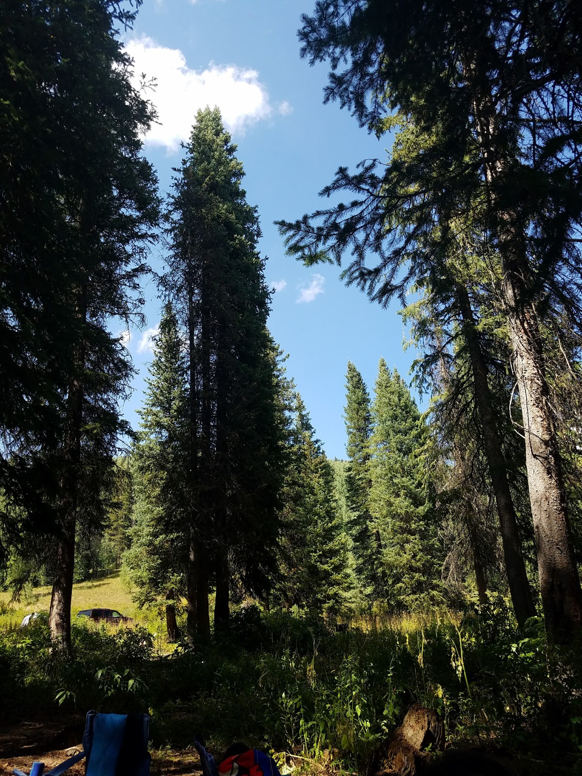 Meadow Ridge Campground