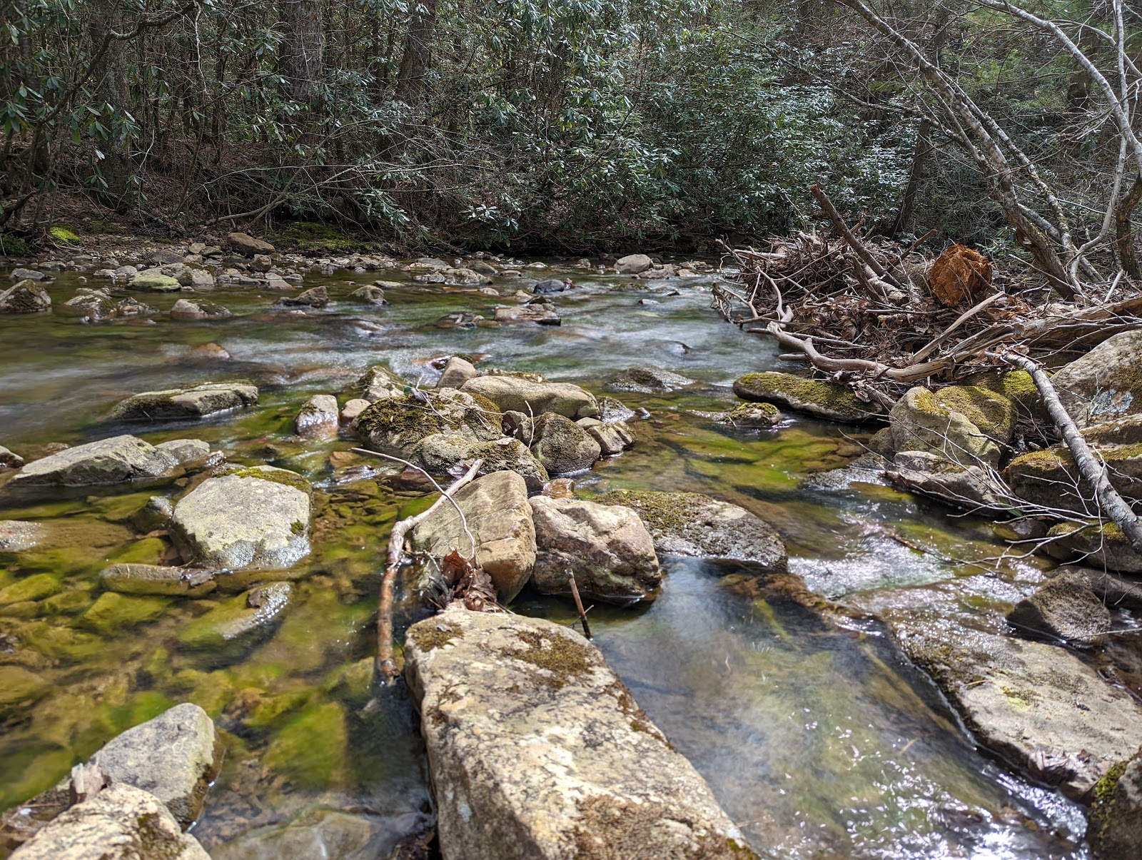 Raccoon Branch Campground