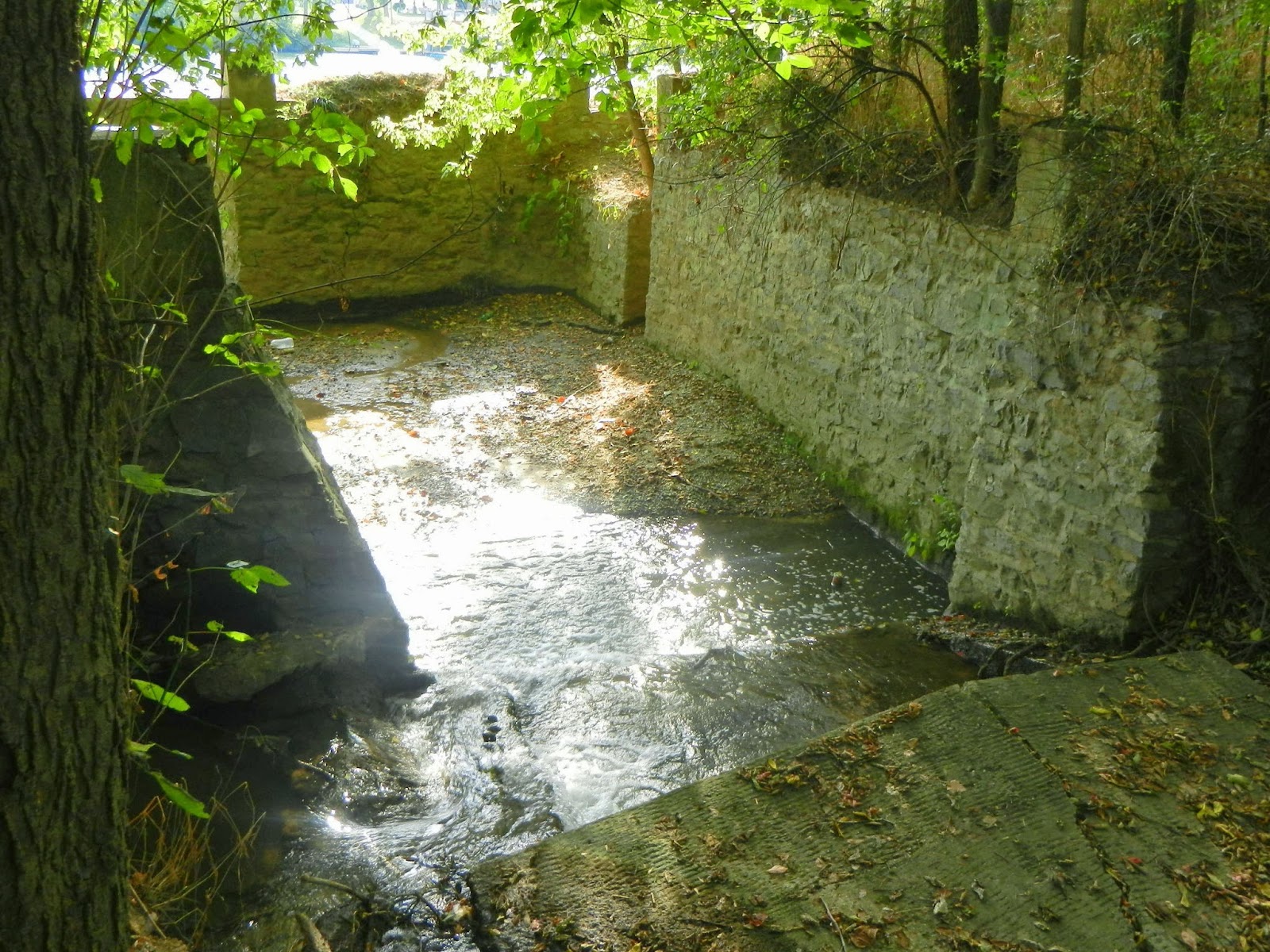 McMahon's Mill Recreation