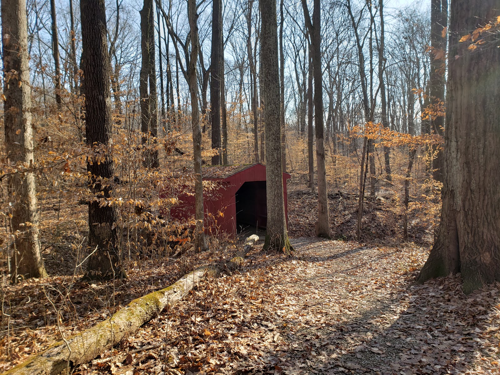 Cagles Mill Lake (Lieber SRA)