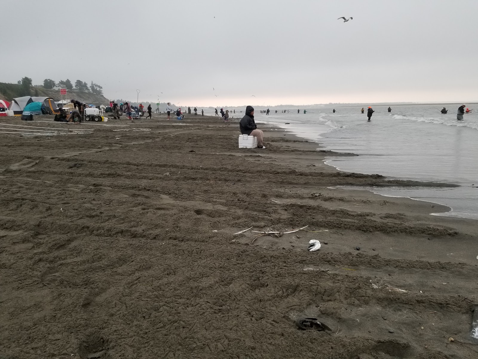 Beluga Lookout RV Park