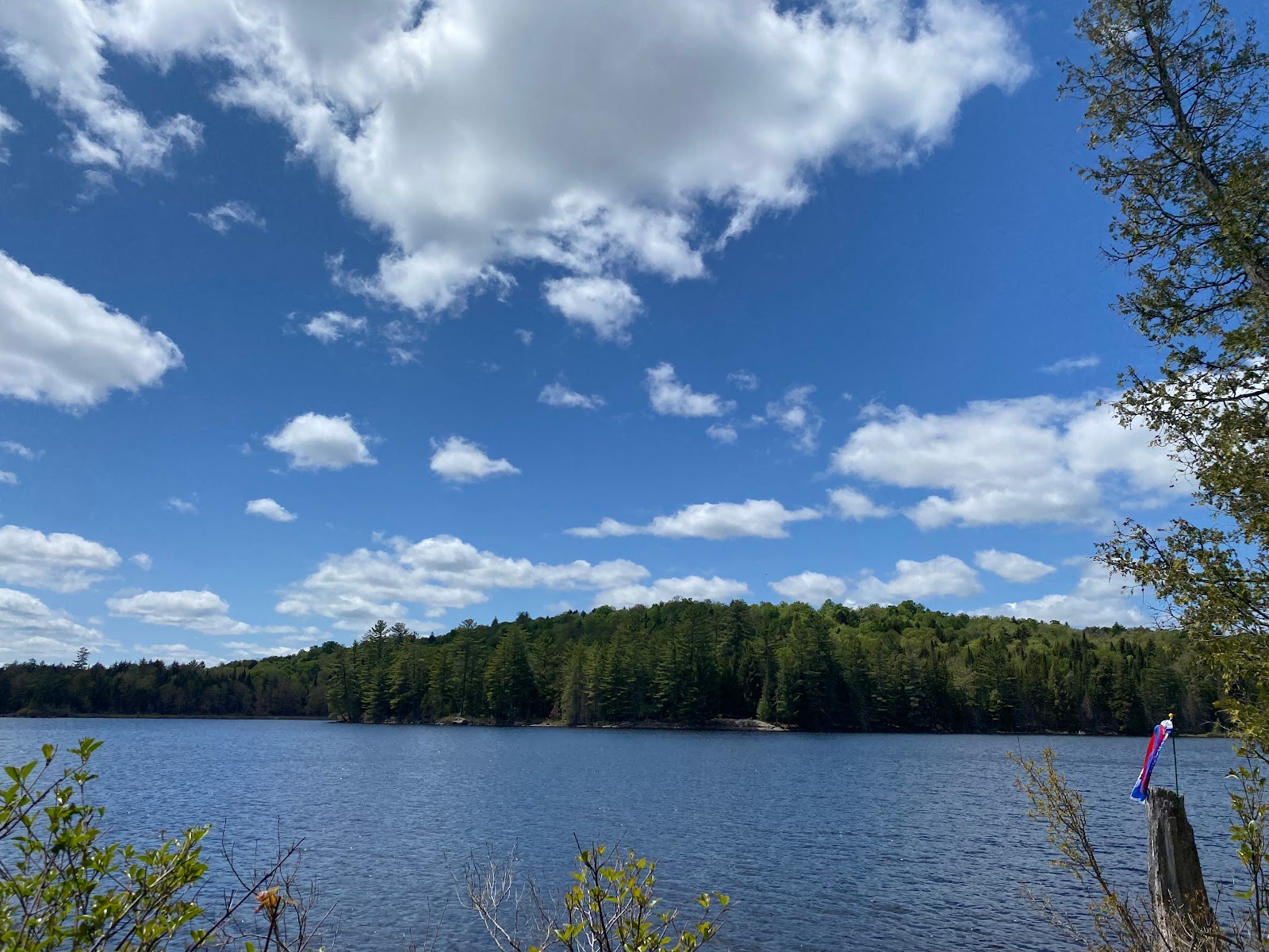 Forked Lake Adirondack Preserve