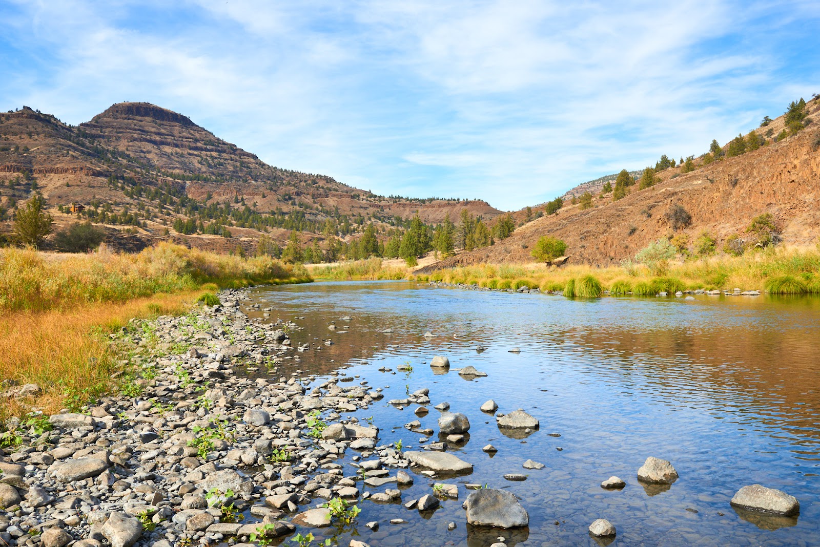 Service Creek Campground