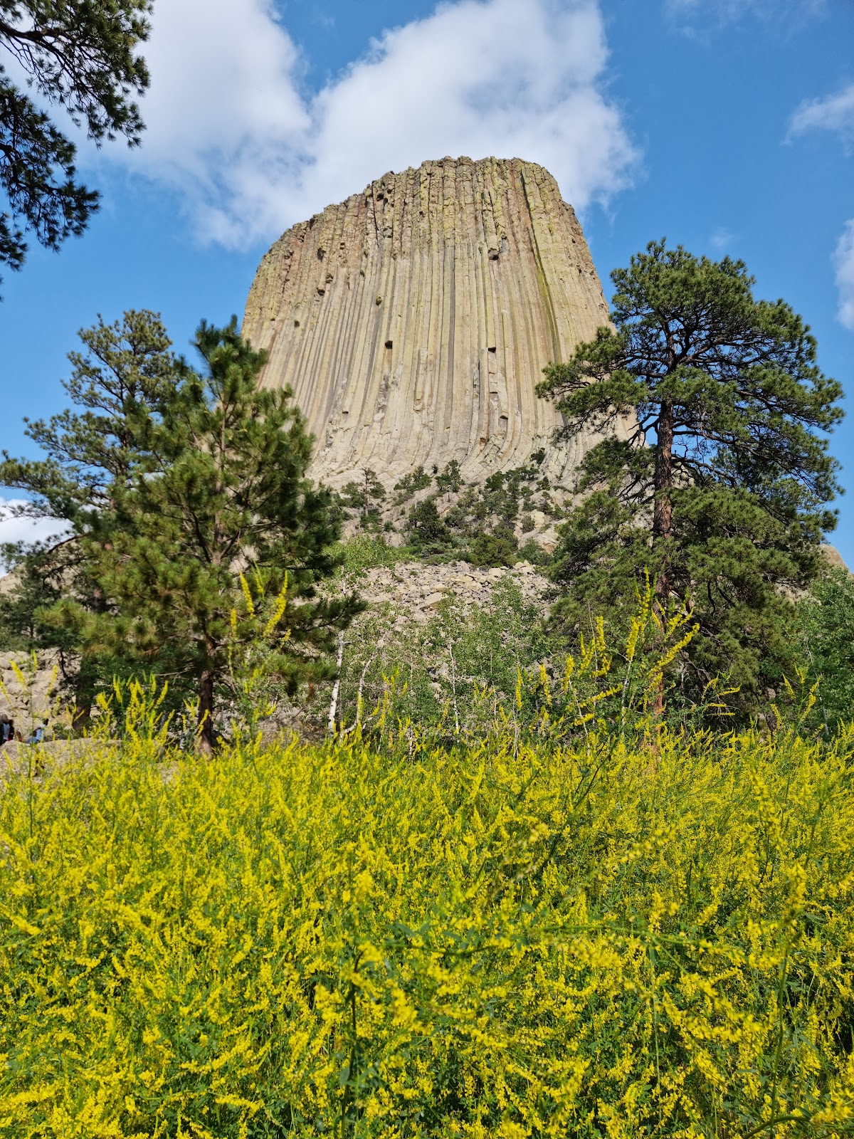 Belle Fourche - Devils Tower National Monument