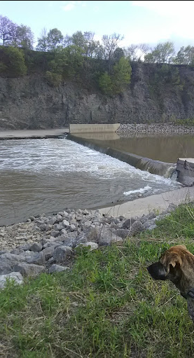 Danny Elliott Park Camping