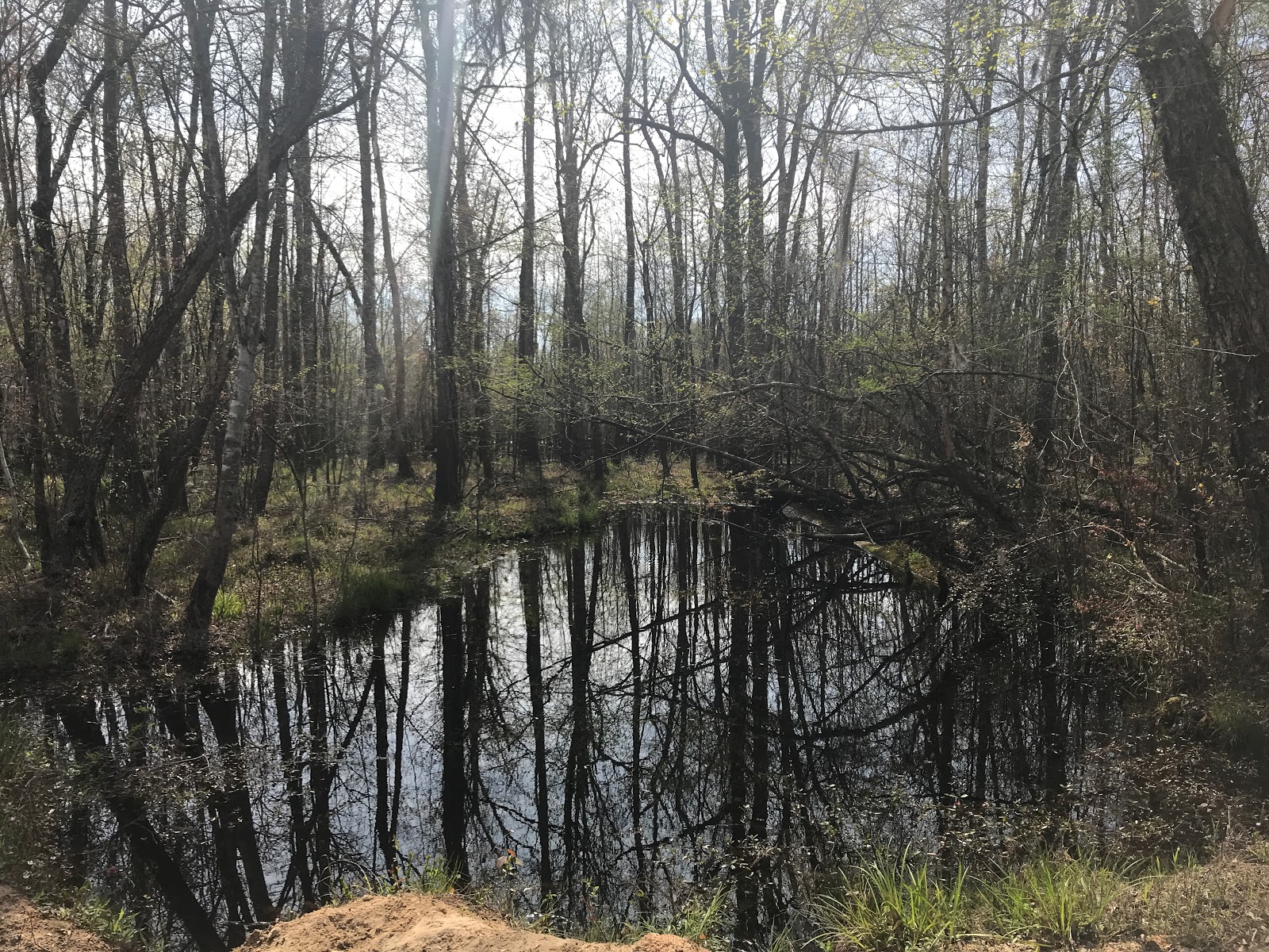 Marsh Wildlife Management Area