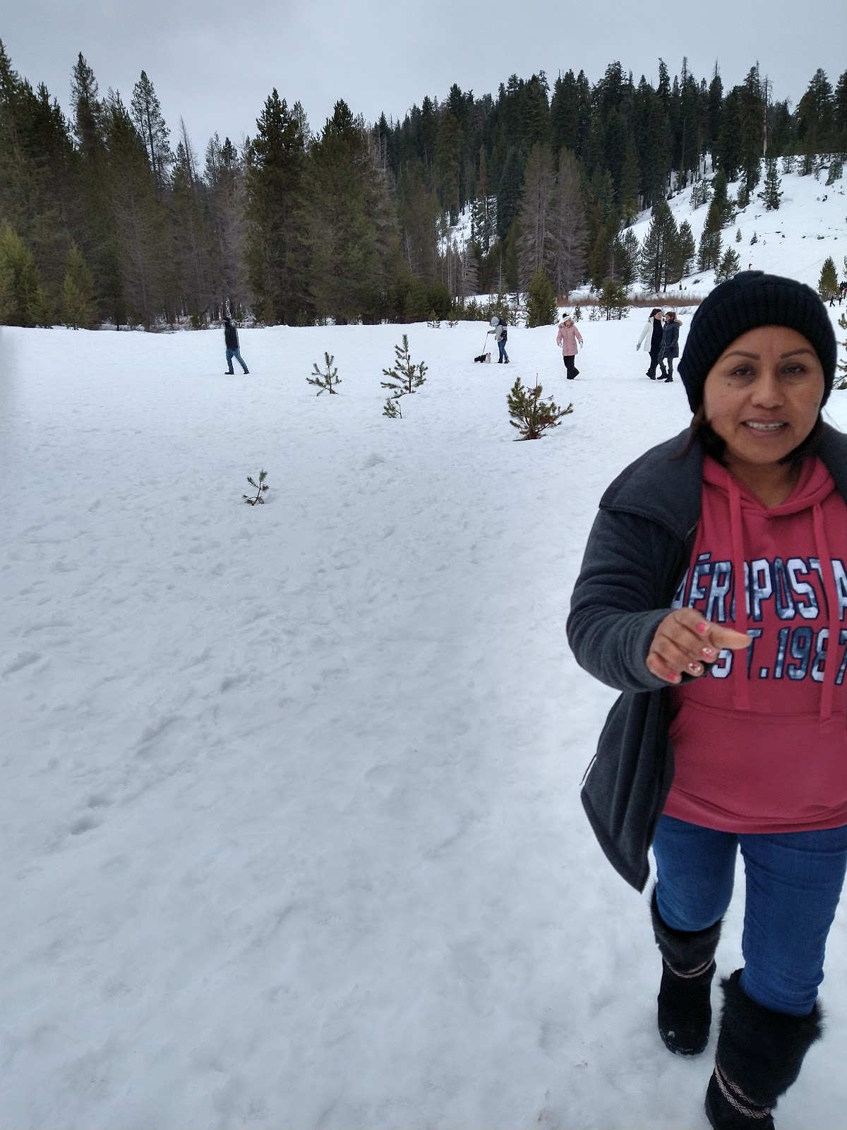 Wolverton Stock Campsites