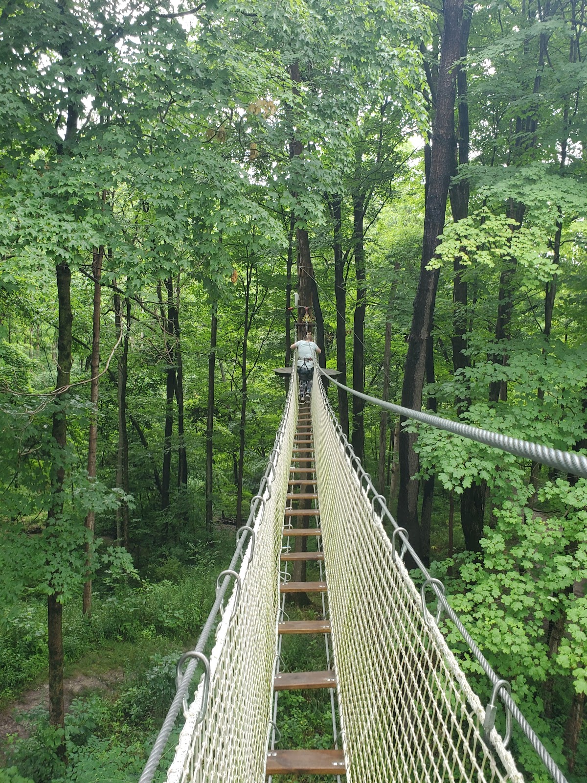 Go Ape Zipline & Adventure Park
