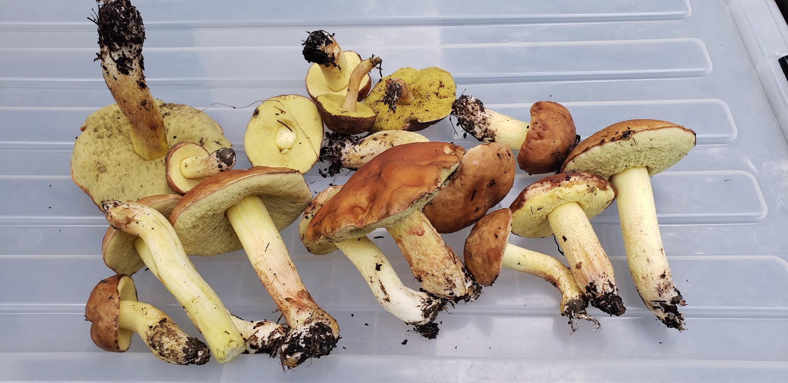 Elmendorf AFB FamCamp