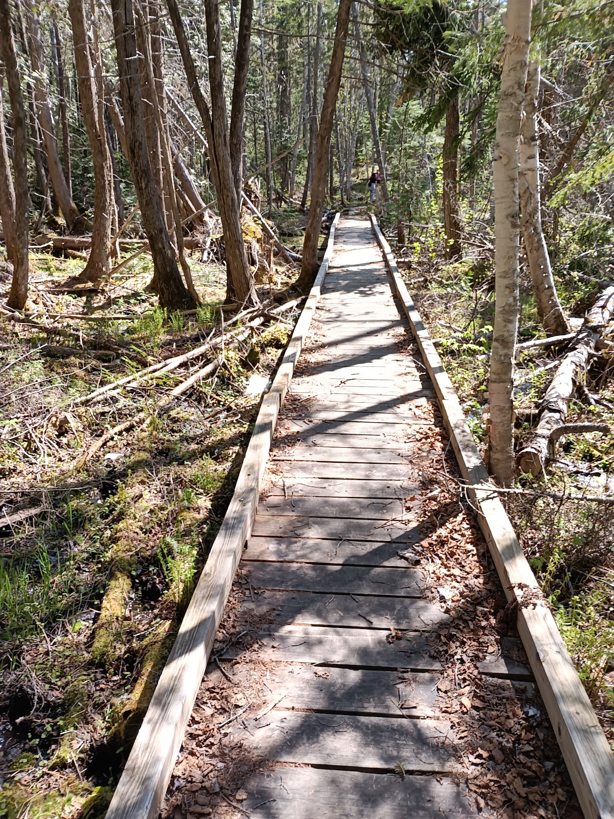 Round Pond Public Reserved Land
