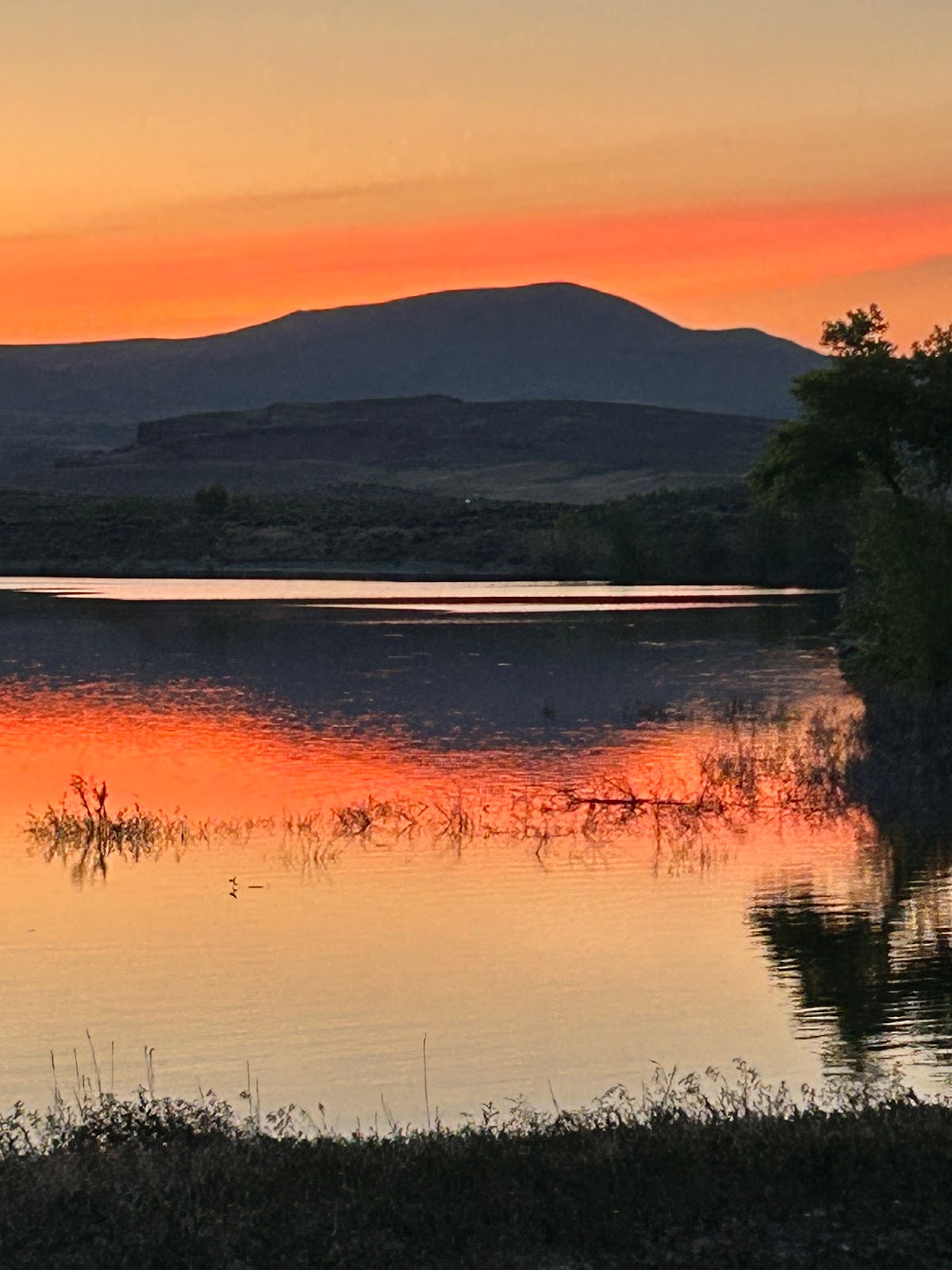 Willow Creek Hot Springs Campground