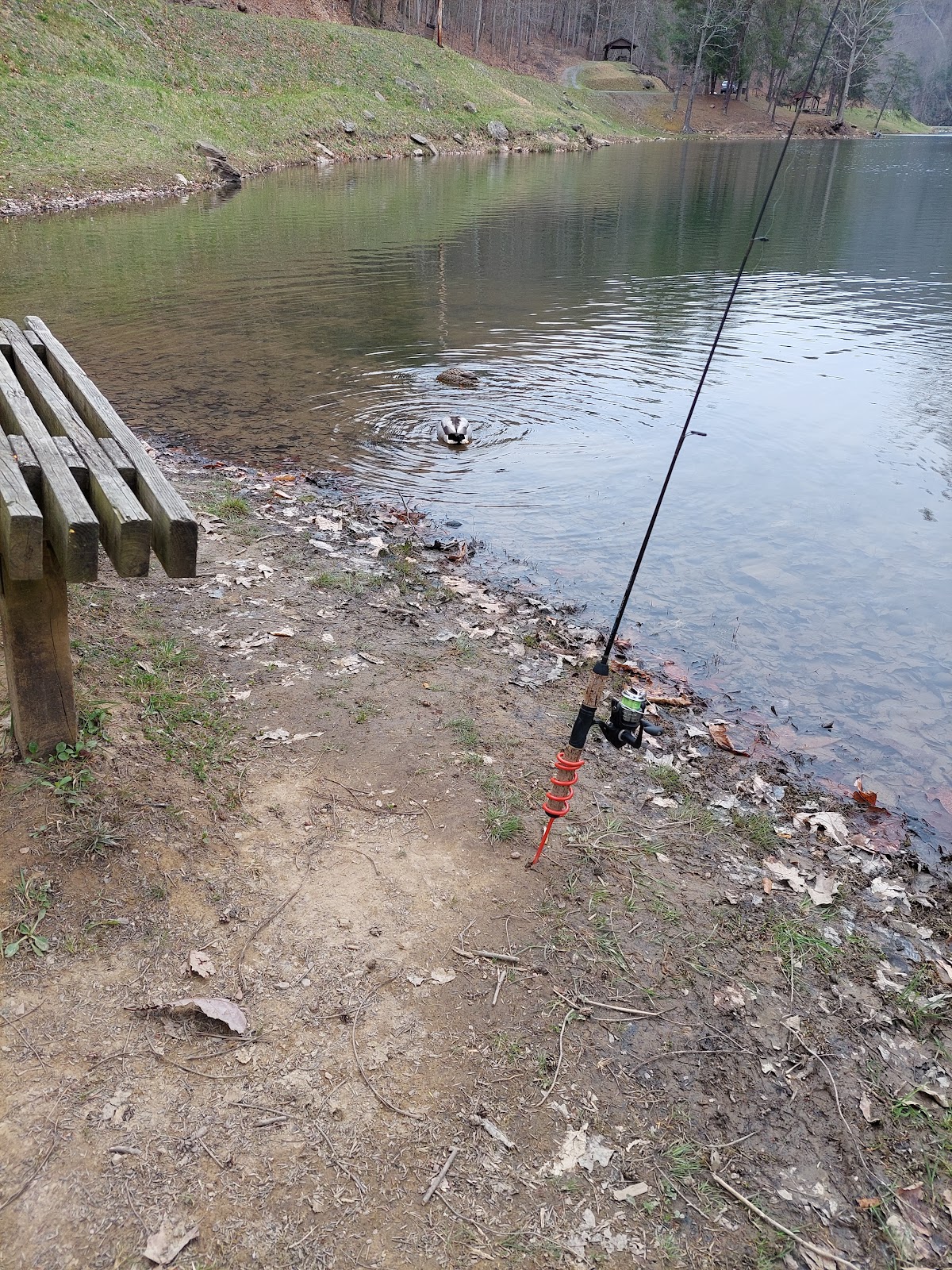 Berwind Lake Wildlife Management A