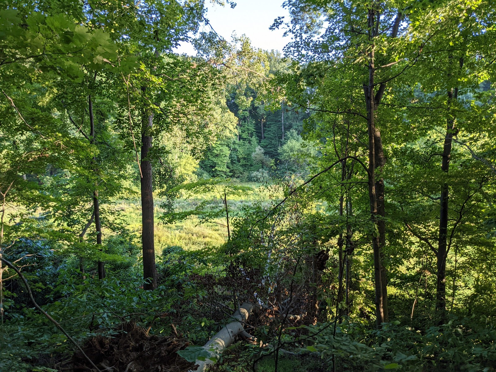 Mt Gilead Campground