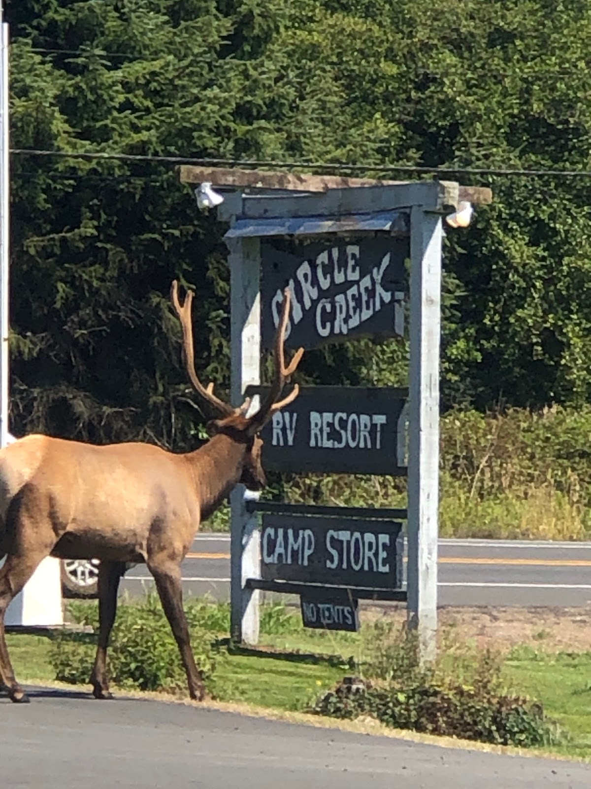 Circle Creek RV Park & Campground