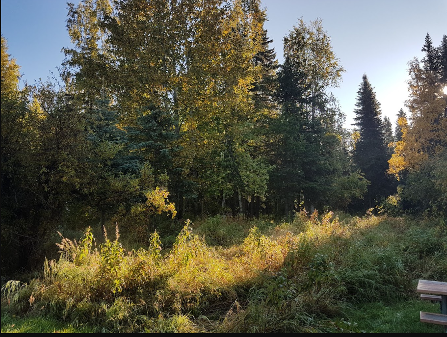 Izaak Walton Campground